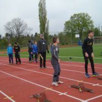 17-8_-1.jpg